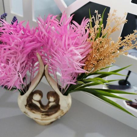Cozy Flowers Studio - Fast Wi-Fi & Washer-Dryer Braşov Exteriör bild